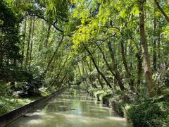 -上海滨江森林公园