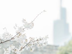-南京城墙景区