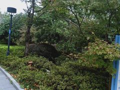 -宝界山林公园