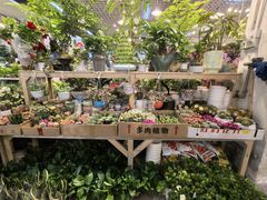 -双季花艺园艺市场(浦东店)