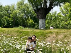 -汉长安城未央宫国家考古遗址公园