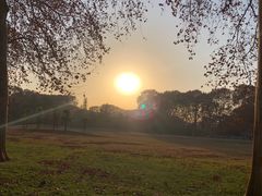 -河南省黄河迎宾馆