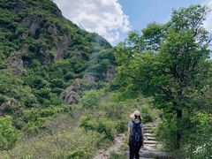 -阳台山自然风景区