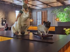 -庐灶江南·江南菜·四合院Bistro(东直门雍和宫·原华侨宾馆店)