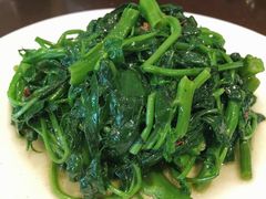 -杨肥肠火锅大排档(火车站花园店)