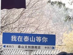 -泰山风景名胜区