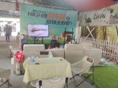 -天下先生态园农庄CS团建露营地(海鸥岛店)