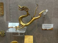 -烟台自然博物馆