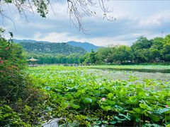-星湖旅游景区七星岩