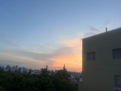 -嘉定紫藤园