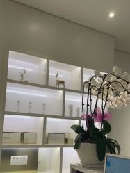 -YESIDO椰岛美容
