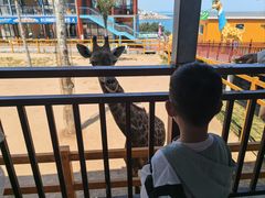 -西霞口神雕山野生动物世界