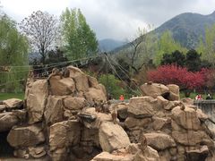 -西安秦岭野生动物园