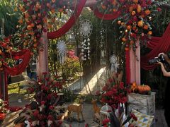 -白云湖畔酒店-湖畔餐厅