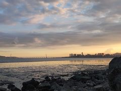 -深圳湾公园(南山区)