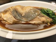 -沈灶河豚宴·河豚融合餐厅(汉中路店)