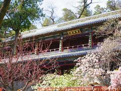 -潭柘寺景区