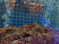 -福禧荟·海鲜自助