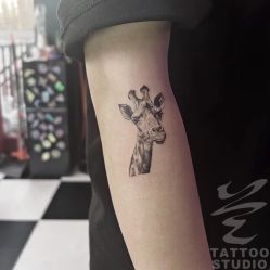 -见雾TATTOO STUDIO