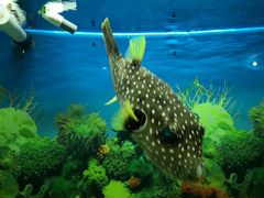 -泉州海丝野生动物世界