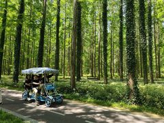 -黄海国家森林公园