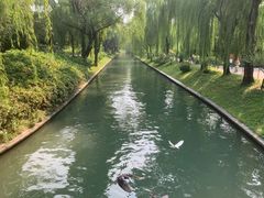-皇家御河游(紫御湾码头)