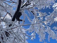 -中旅松花湖滑雪场
