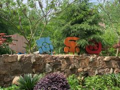 -合肥滨湖国家森林公园