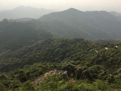 -阳台山森林公园