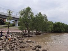 -宝安西湾红树林湿地公园