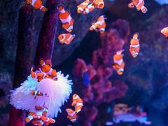 -沈阳海洋探索中心