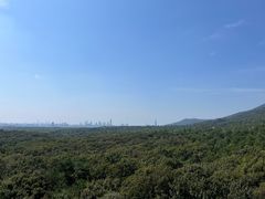 -灵谷景区