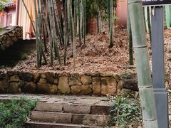 -杭州半山国家森林公园