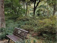 -杭州植物园