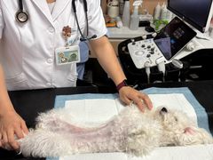 -谐和贝康宠物医院24小时·宠保定点(急重症转诊中心)