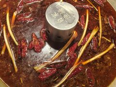 -爱你您·自家鱼塘·活水喷泉鱼火锅(八里店)