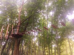 -石燕湖生态旅游景区
