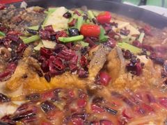 -老板恋上鱼(恒隆广场店)