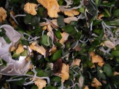 -篱笆院东北饺子王(欧阳路店)