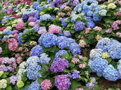 -荔湾区儿童公园