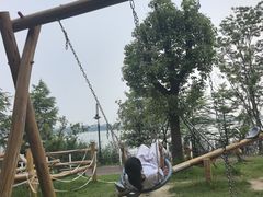 -金鸡湖桃花岛