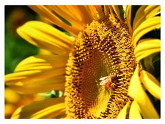 -廊坊文化艺术中心