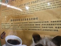 -巴厘岛黄金金兔咖啡工厂