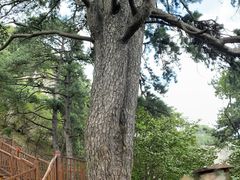 -终南山南五台景区