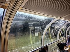 -白帝城·瞿塘峡景区