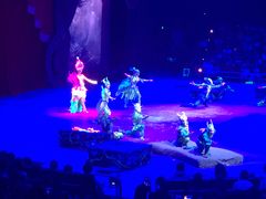 -珠海横琴长隆《卡卡虎奇遇记》