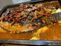 -晓鲜熊猫烤鱼烤吧(西三旗百汇北门店)