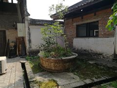 -金谷域澳洲庄园