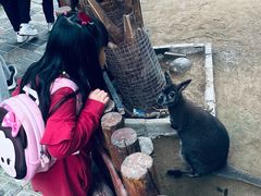 -呀路古热带植物园