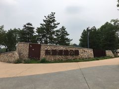 -东郊湿地公园